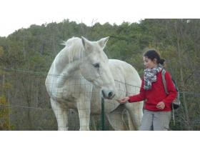 photo coins arrondis